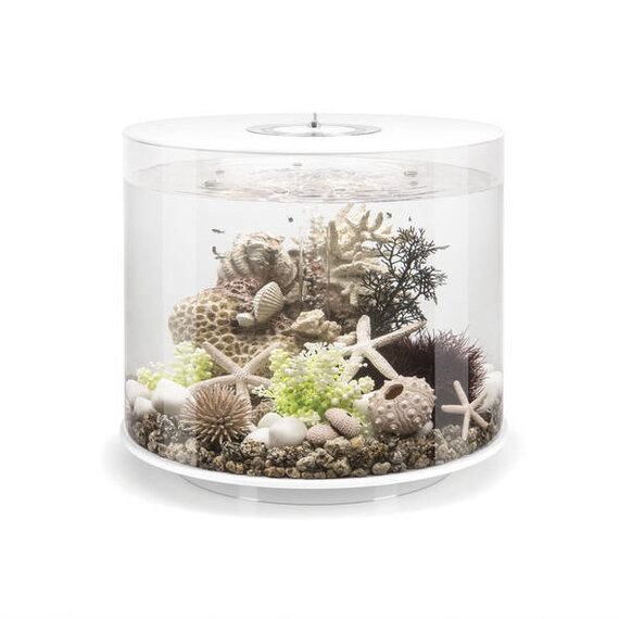 AquastoreXL | biOrb Tube zwart en wit aquarium - AquastoreXL