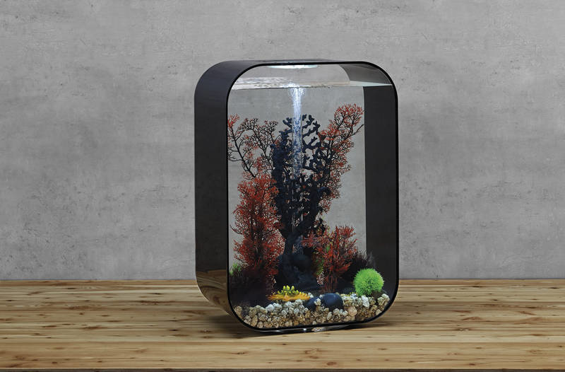 Life 45 MCR Zwart