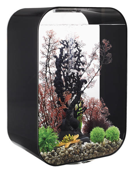 Life 45 MCR Zwart