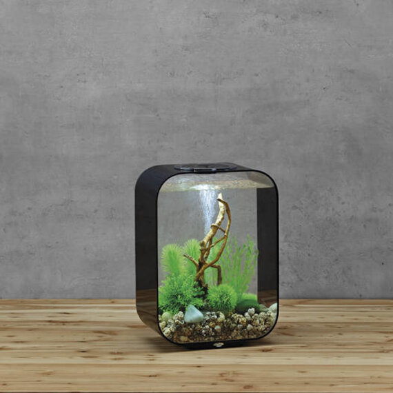 biOrb Flow 30 MCR Zwart | Aquarium