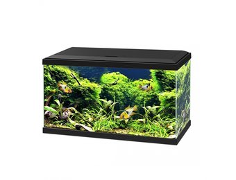 Aquarium aqua 60 LED CF80 zwart