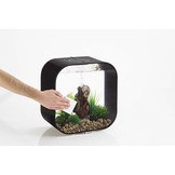 Service Kit Triple Pack en Water Optimiser