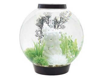 Classic 60 MCR Zwart