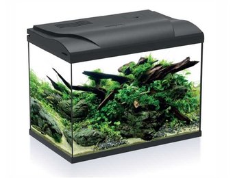 Aquarium Platy 50 LED Zwart