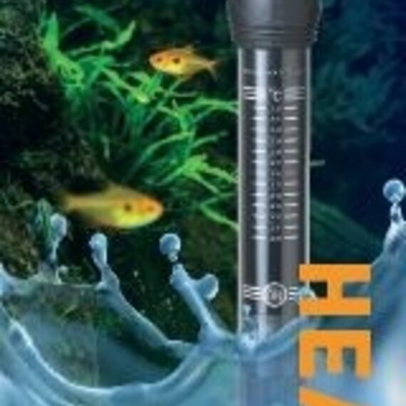 Een of twee aquarium- verwarmingen