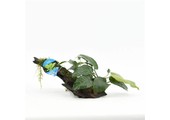 Driftwood M met anubias