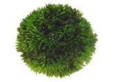 Aqua Plant Bal 9cm