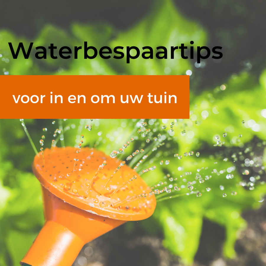 Waterbespaartips voor de tuin