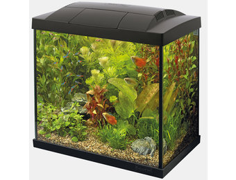 Start 50 Tropical Kit Zwart