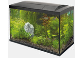 Start 70 Tropical Kit Zwart