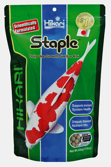 Staple Large 500 gram
