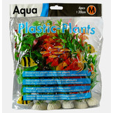 Aqua plants medium