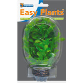 Easy plants voorgrond 13cm NR.8