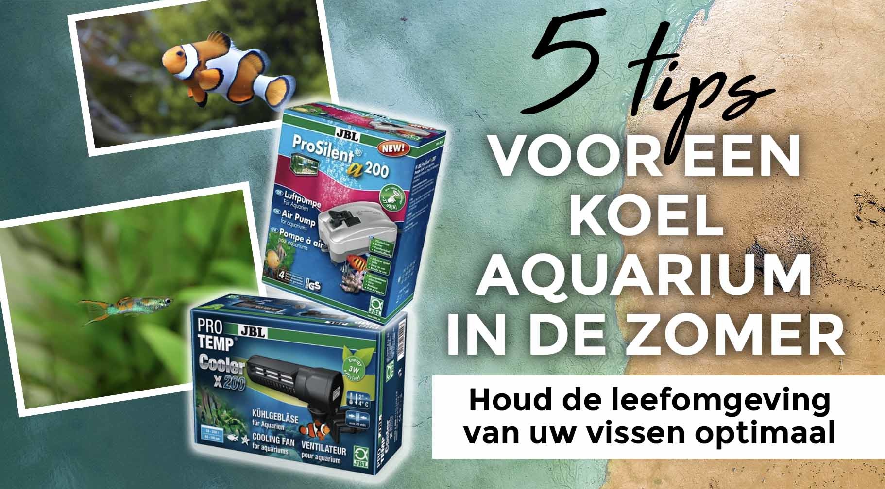 5 tips om uw aquarium koel te houden in de zomer