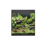 StyleLine 85 Aquarium Zwart