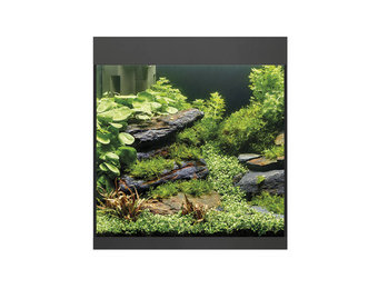 StyleLine 85 Aquarium Zwart