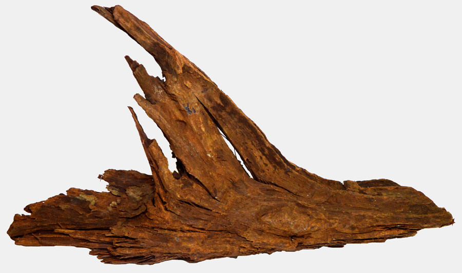 Driftwood XS 12-18cm