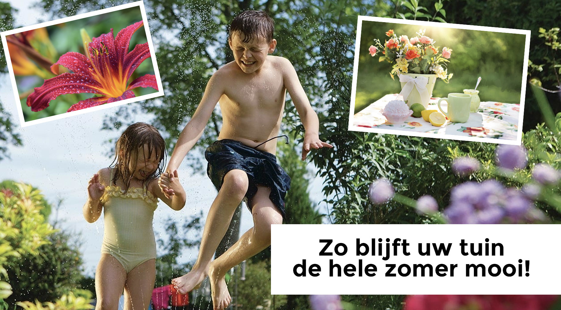 Zo blijft uw tuin de hele zomer mooi!