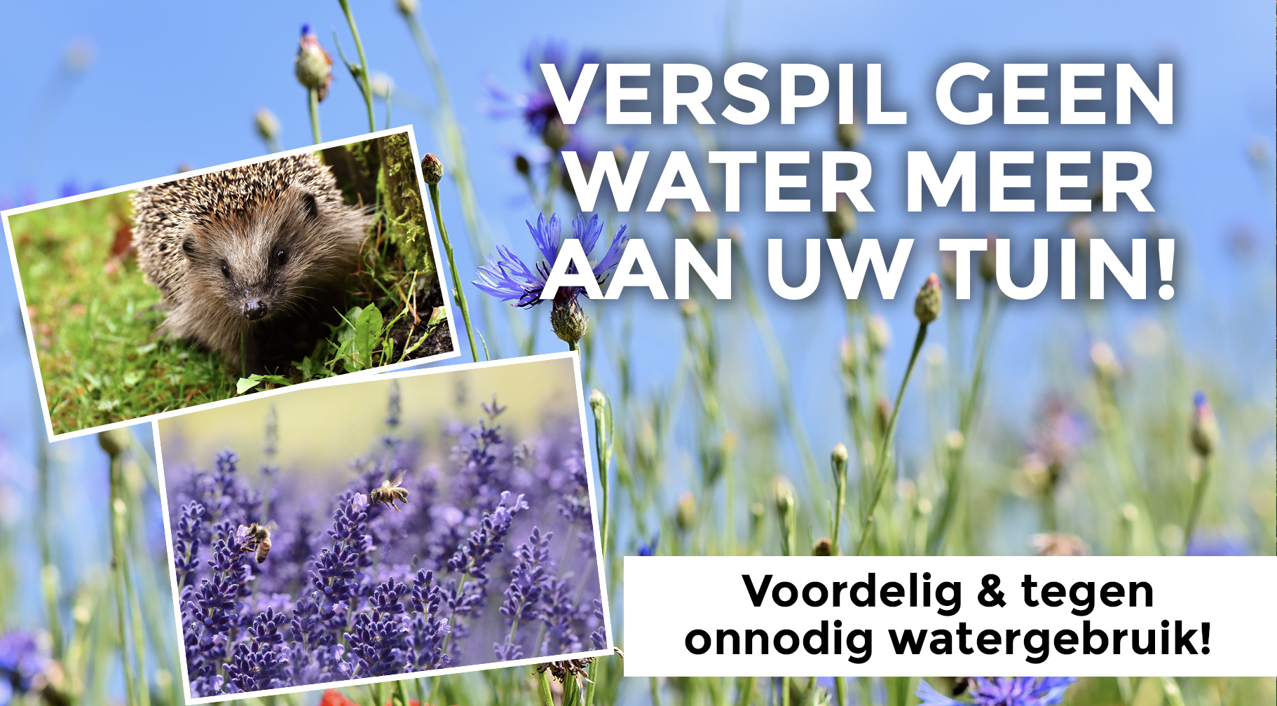 De voordelen van druppelbevloeiing op een rij!