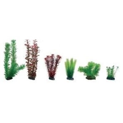 Hobby Plantasy Set 3 - AquastoreXL