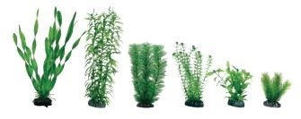 Kunstplantenpakket L Aquarium Vallisneria Heteranthera