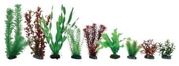 Kunstplantenpakket Set XL Aquarium Vallisneria Egeria
