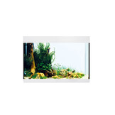 StyleLine 175 Aquarium Wit