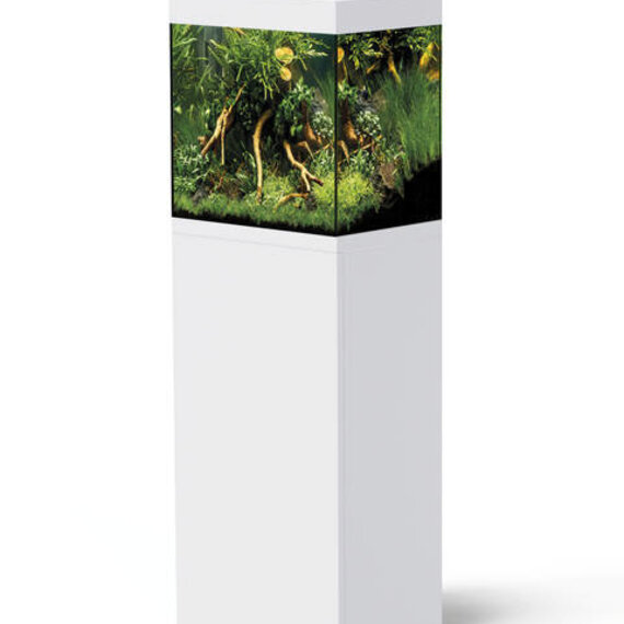 Vind aquarium starterset op - april 2026