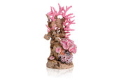 Koraalrif Roze ornament