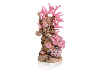 Koraalrif Roze ornament