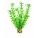 Easy plants middel 20 cm NR.4