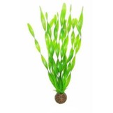 Easy plants hoog 30 cm NR.6