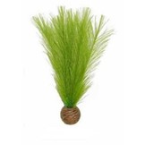 Easy plants middel 20 cm Nr.11 Zijde