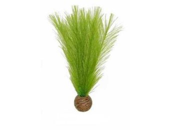 Easy plants middel 20 cm Nr.11 Zijde