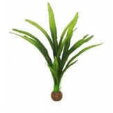 Easy plants hoog 30cm Nr.15 Zijde