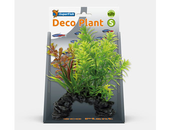 Deco Plant S Hottonia