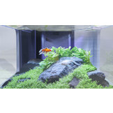 Binnenfilter Systeem BioBox Nr. 2