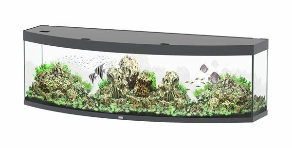 Sublime Horizon 200 aquarium
