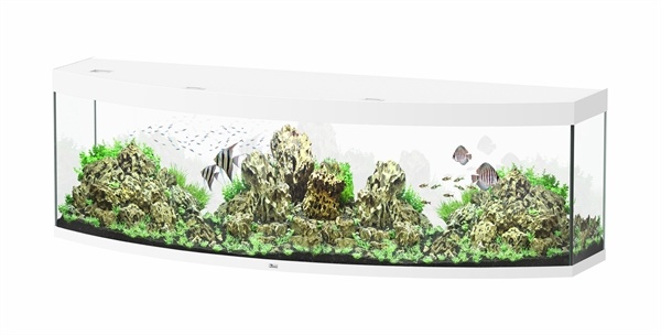 Sublime Horizon 200 aquarium