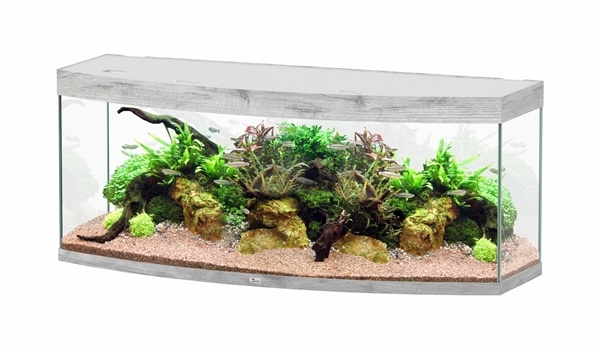 Sublime Horizon 150 aquarium