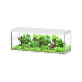 Sublime 200x70 aquarium