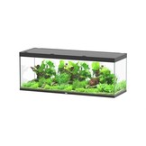 Sublime 200x70 aquarium