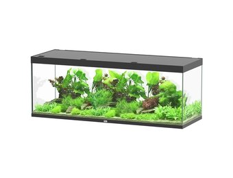 Sublime 200x70 aquarium