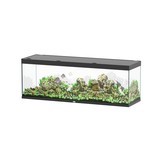 Sublime 200x60 aquarium