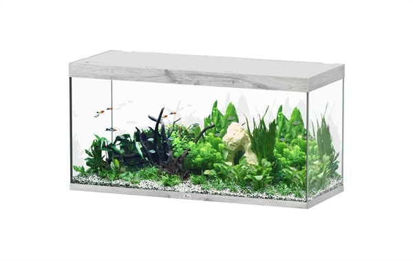 Sublime 150x60 aquarium