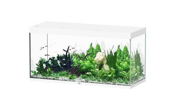 Sublime 150x60 aquarium
