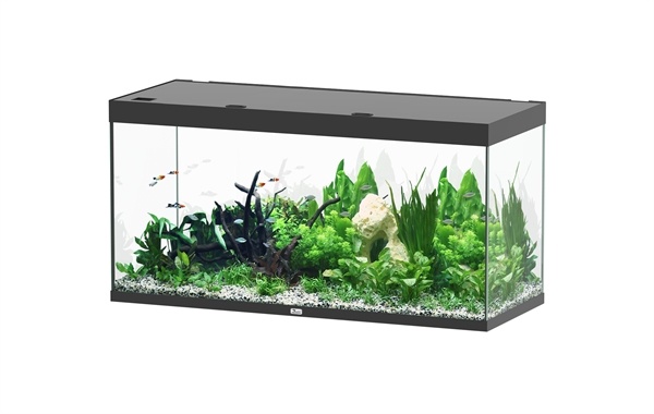 Sublime 150x60 aquarium