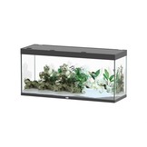Sublime 150x50 aquarium