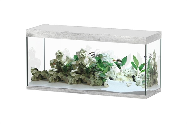 Sublime 150x50 aquarium
