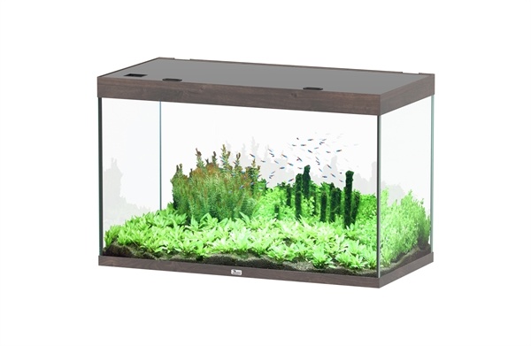 Sublime 120x60 aquarium